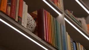 A LED light in a cut groove under a shelf