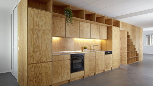 Hardwood plywood kitchen