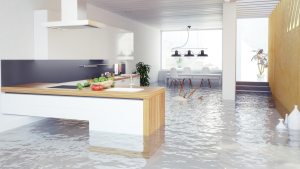 Get the right insurance for your remodel