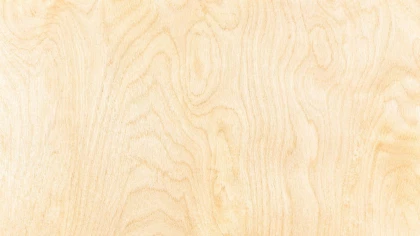 Plywood grade B/BB